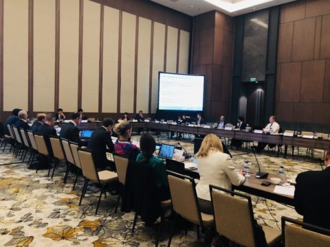 IGU Coordination Committee Meeting: Preparations for WGC 2021 continue!